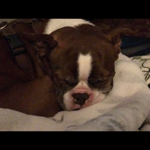 Meet your Posher, Lori - Picture 14 of 16